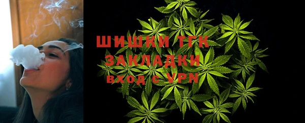 ешки Абинск