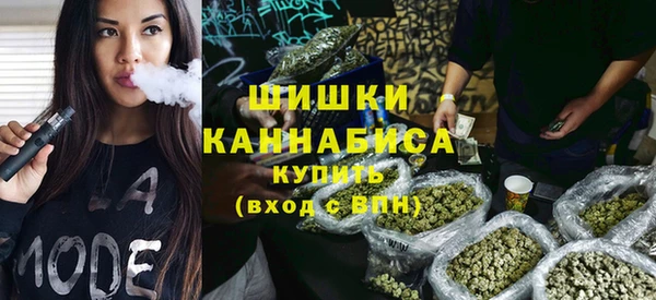 тгк Дмитровск