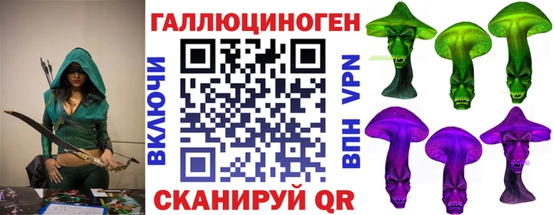 кракен как зайти  Кызыл  Псилоцибиновые грибы мухоморы 